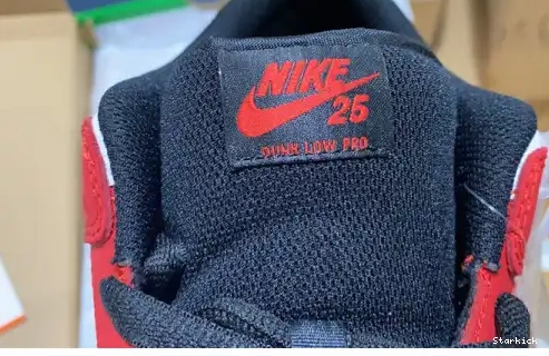 Low years 309242-307 25th Nike SB Dunk 0613